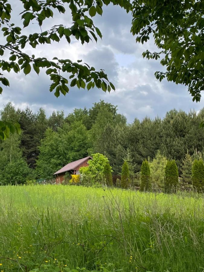 Wittówka - domek z dala od sąsiadów Tomaszów Lubelski Zewnętrze zdjęcie