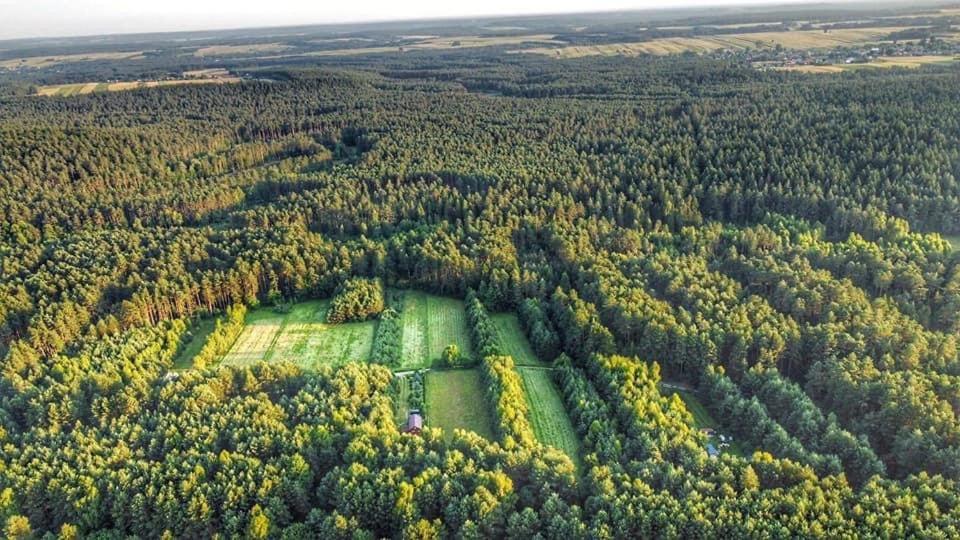 Wittówka - domek z dala od sąsiadów Tomaszów Lubelski Zewnętrze zdjęcie
