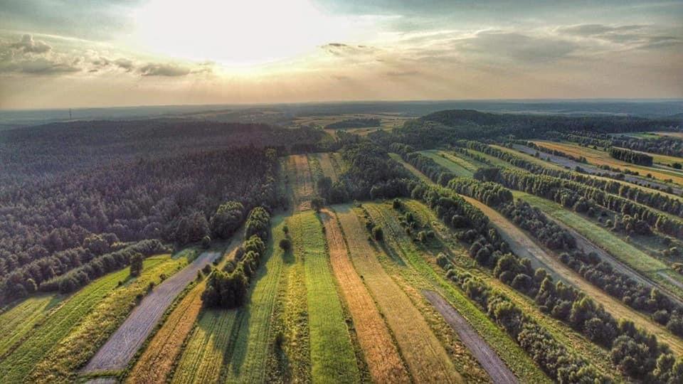 Wittówka - domek z dala od sąsiadów Tomaszów Lubelski Zewnętrze zdjęcie